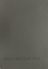Courvin Automotivo Uruguai Cinza R78 2023